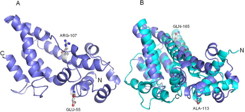 Fig. 8