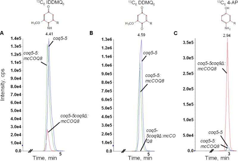 Fig. 2