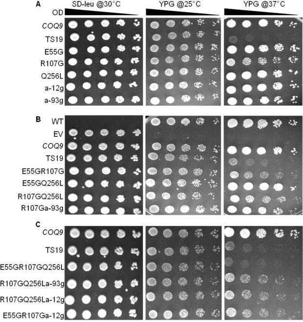 Fig. 4