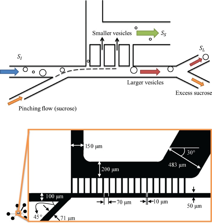 FIG. 2.