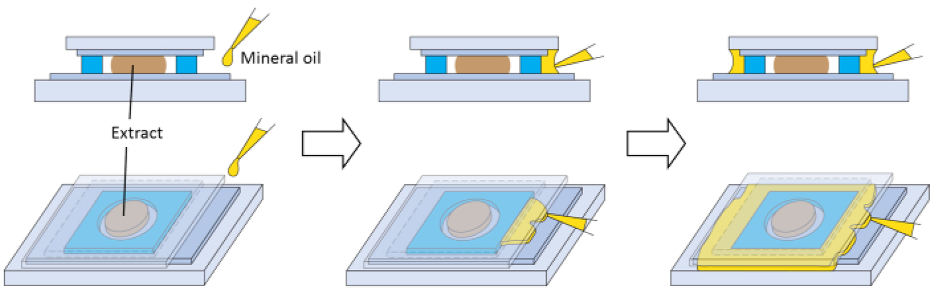 Figure 3: