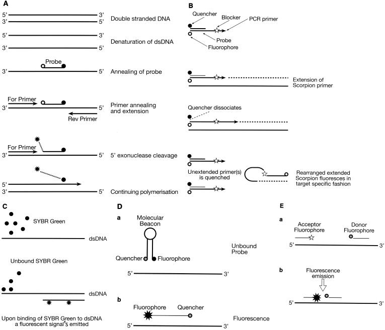 FIG. 2.