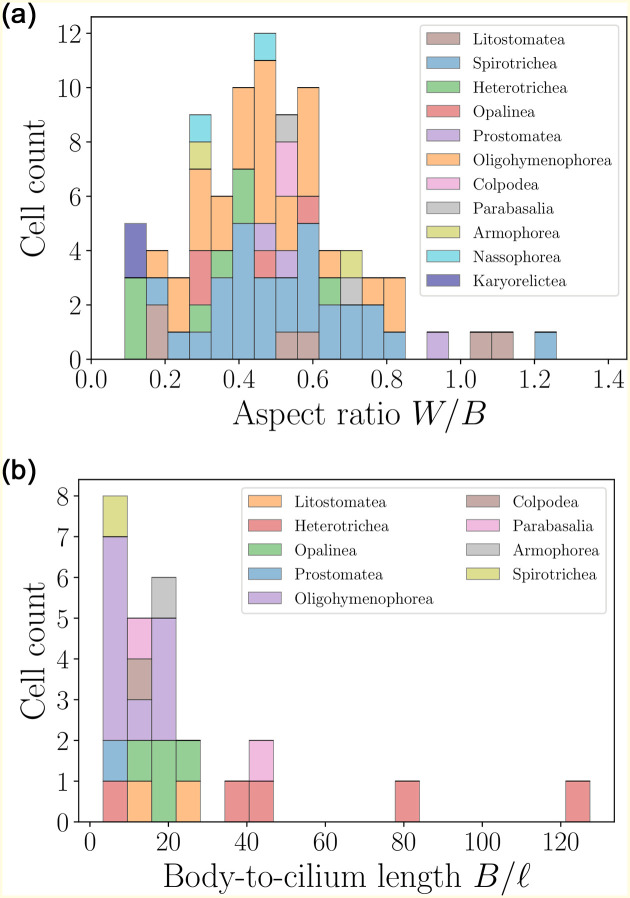 Fig 20