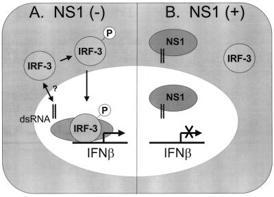 FIG. 5