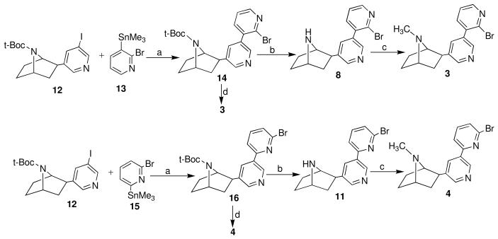 Scheme 2