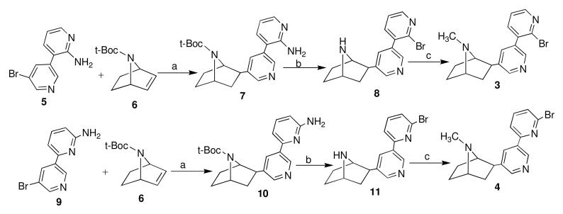 Scheme 1