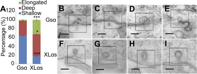 Fig. 8.