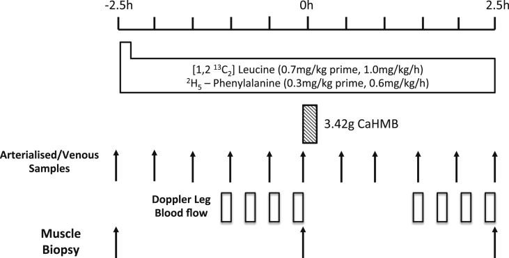 Fig. 1