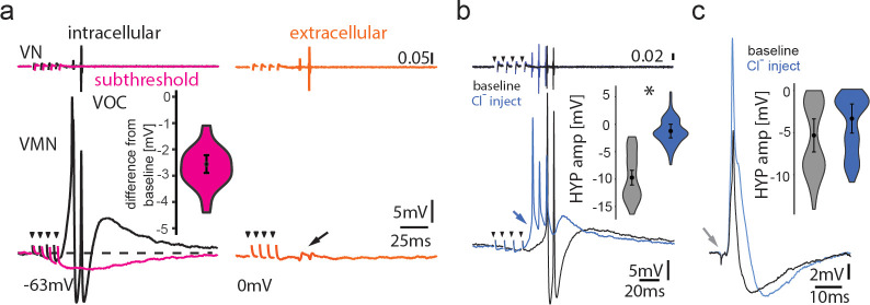 Figure 7—figure supplement 1.