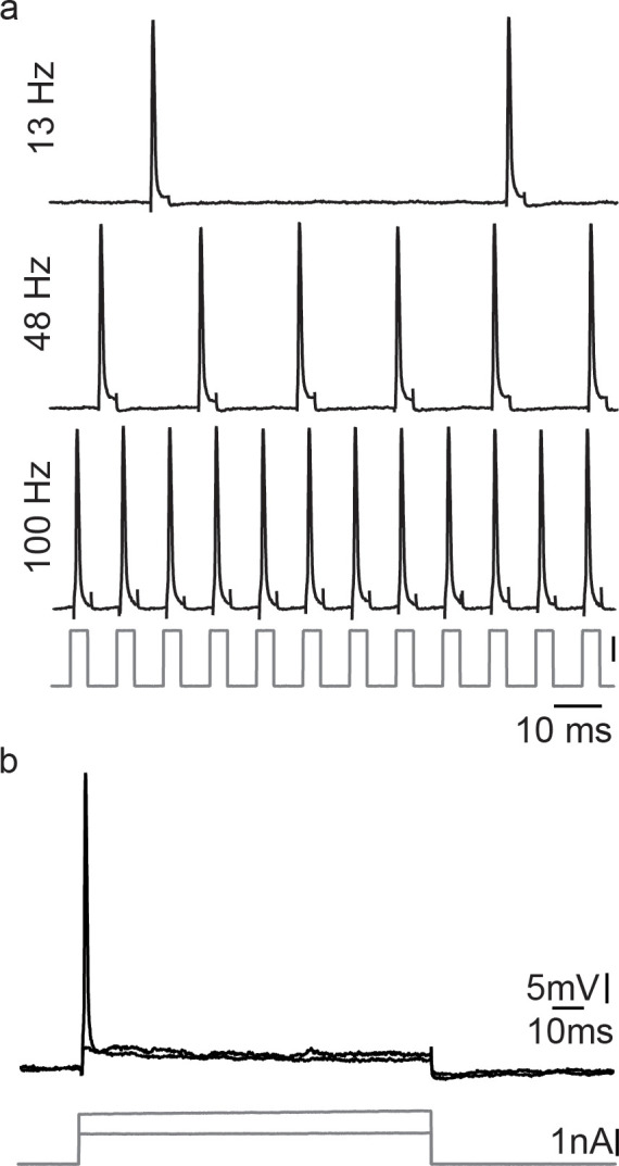 Figure 3—figure supplement 3.