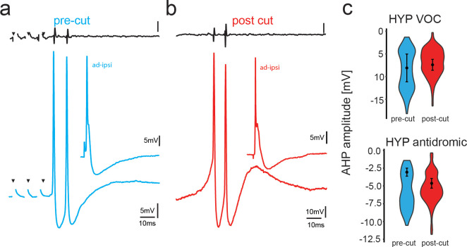 Figure 3—figure supplement 2.