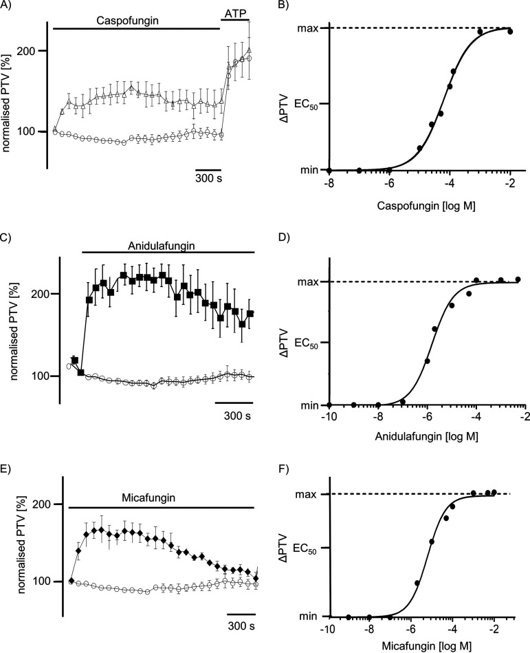 FIG 1