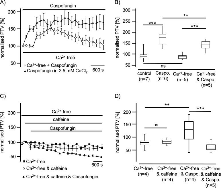 FIG 6