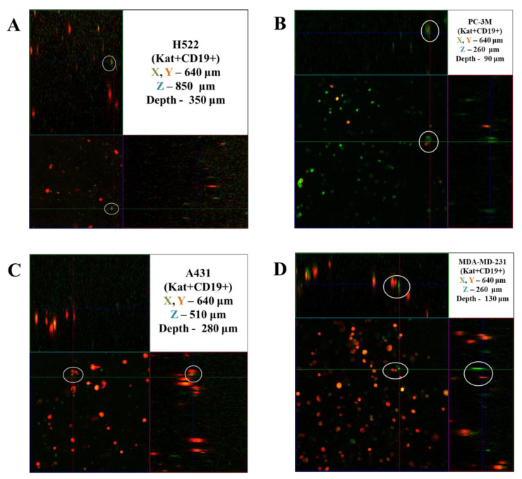 Figure 15