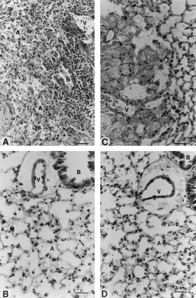 FIG. 9.