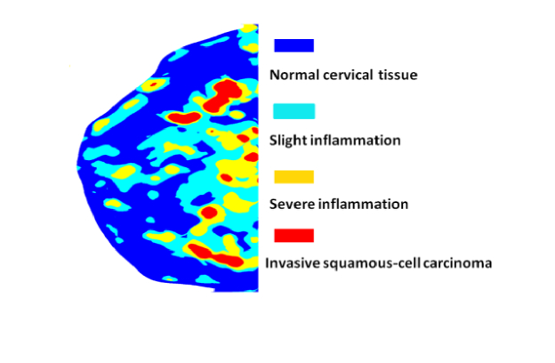 Fig. 7