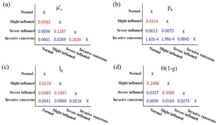 Fig. 10