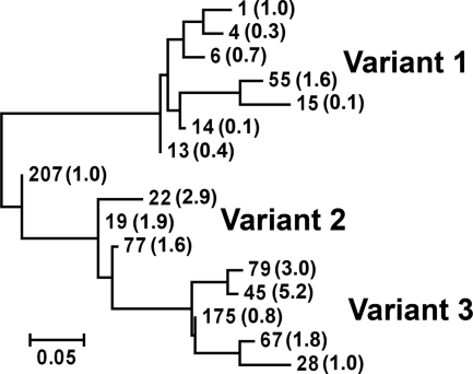 FIG. 1.