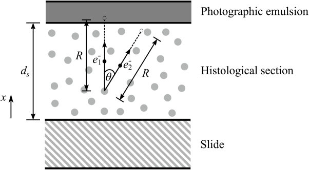 Figure B1.