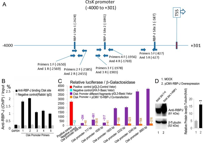 Figure 6.