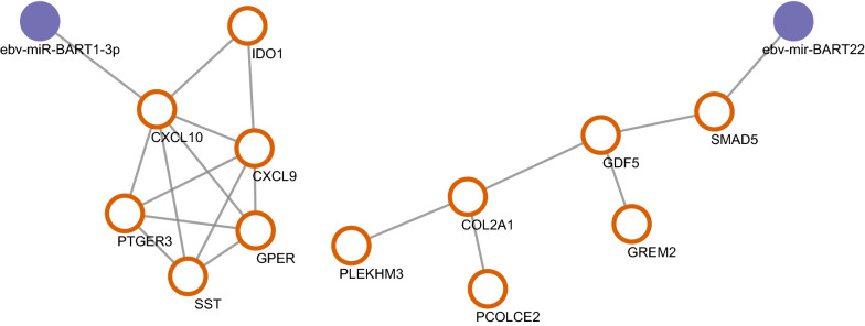 Fig. 6