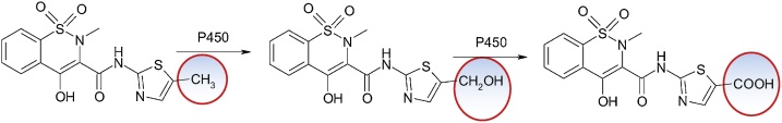 Fig. 28