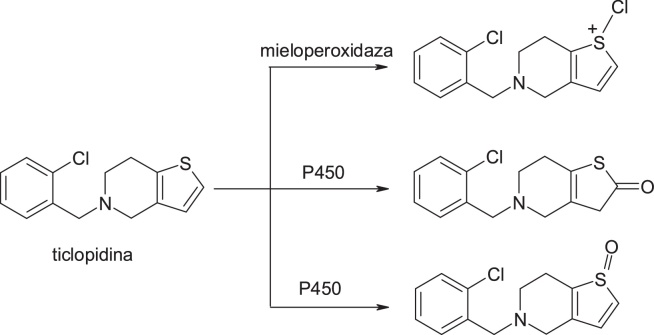 Fig. 24