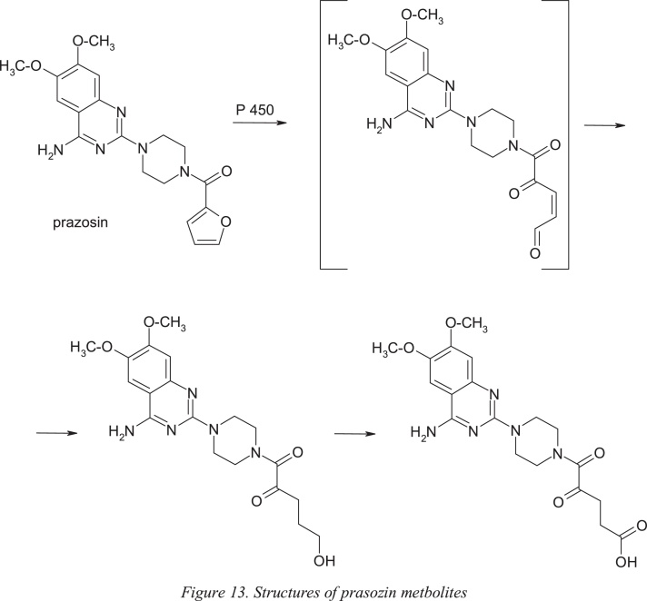 Fig. 13