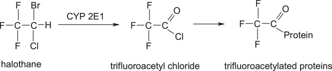 Fig. 16