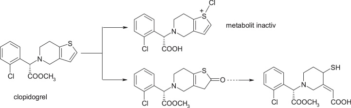 Fig. 25