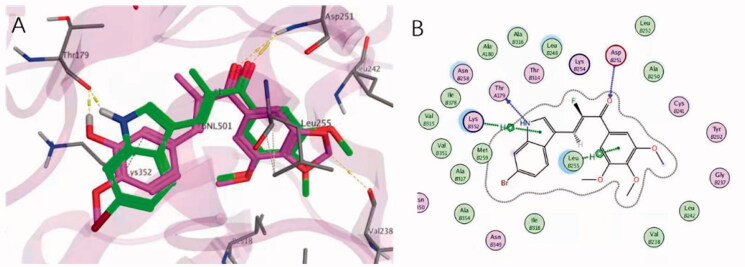 Figure 3.