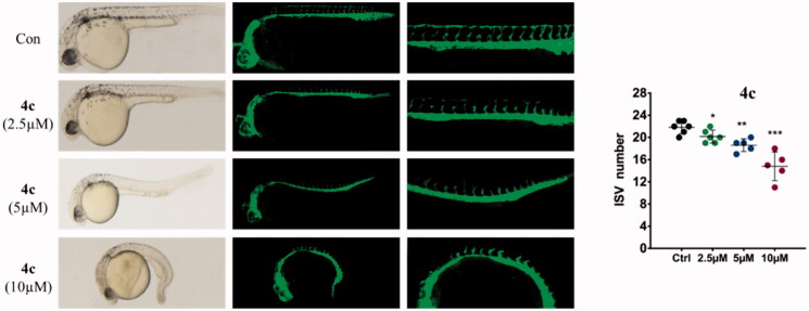 Figure 11.