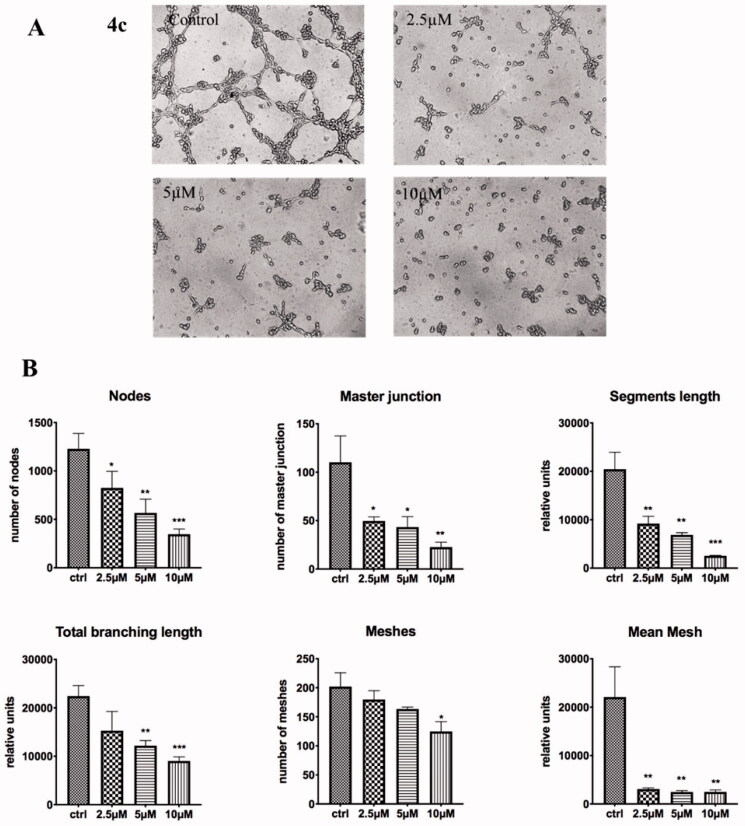 Figure 10.