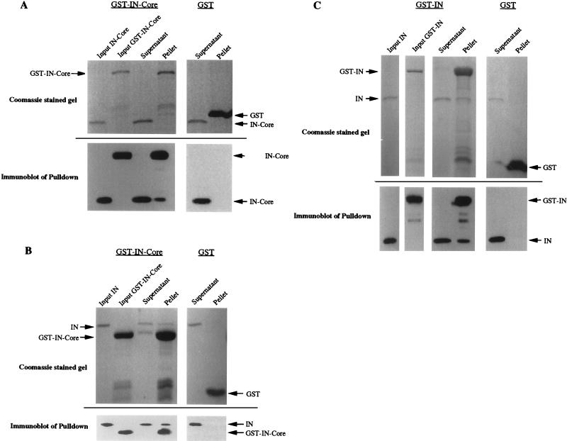 FIG. 3