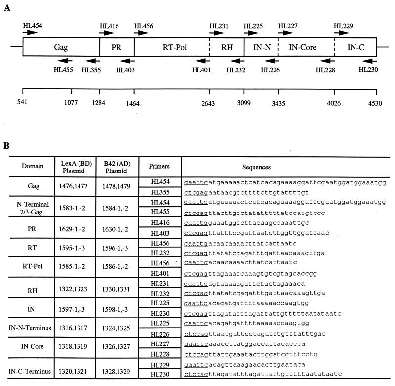 FIG. 1