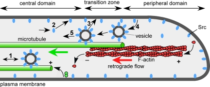 Figure 9.