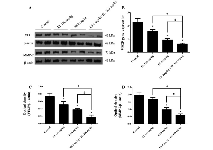 Figure 5.