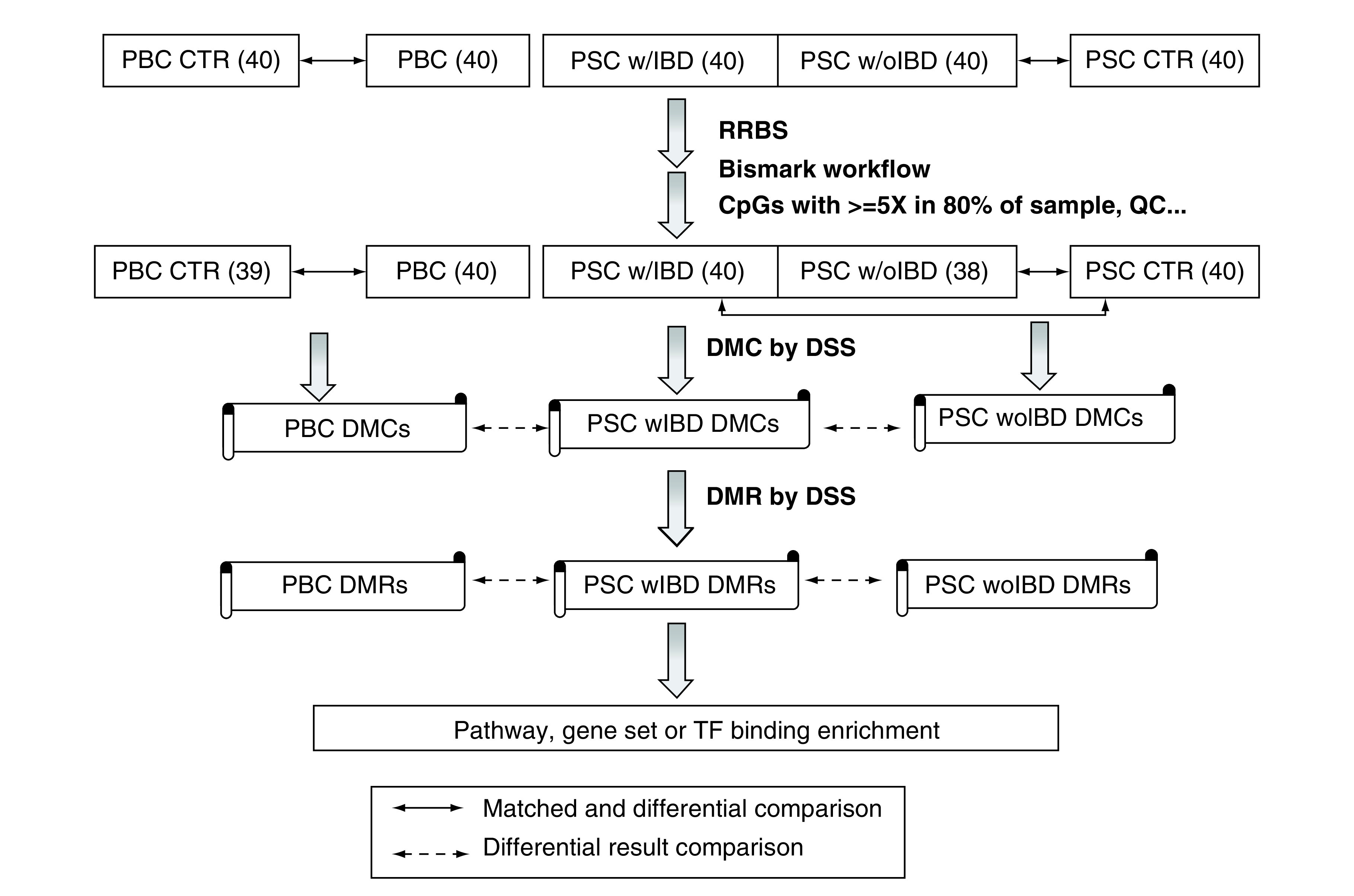 Figure 1. 