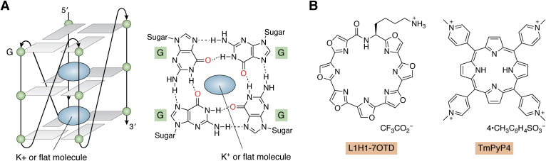 Figure 4