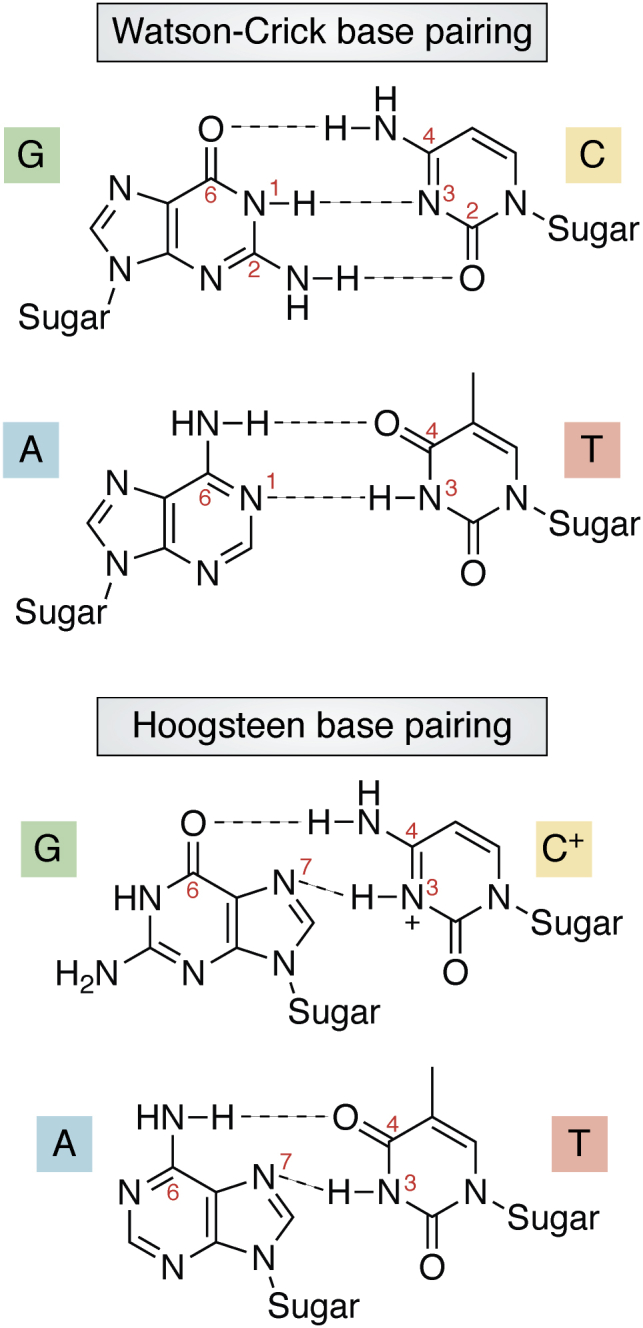 Figure 6