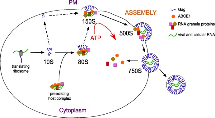 Figure 10.