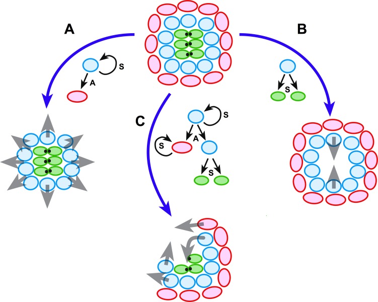 Figure 9.