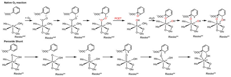 Scheme 3