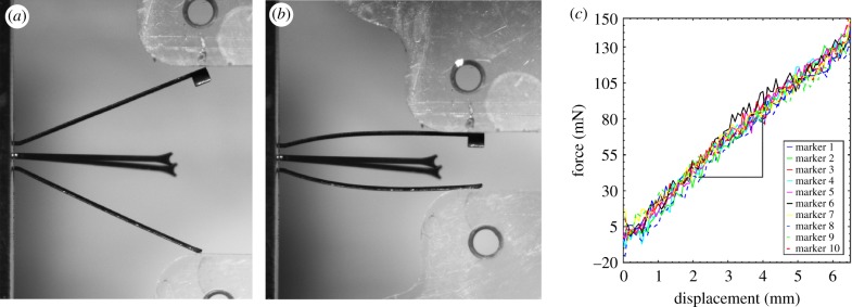 Figure 3.