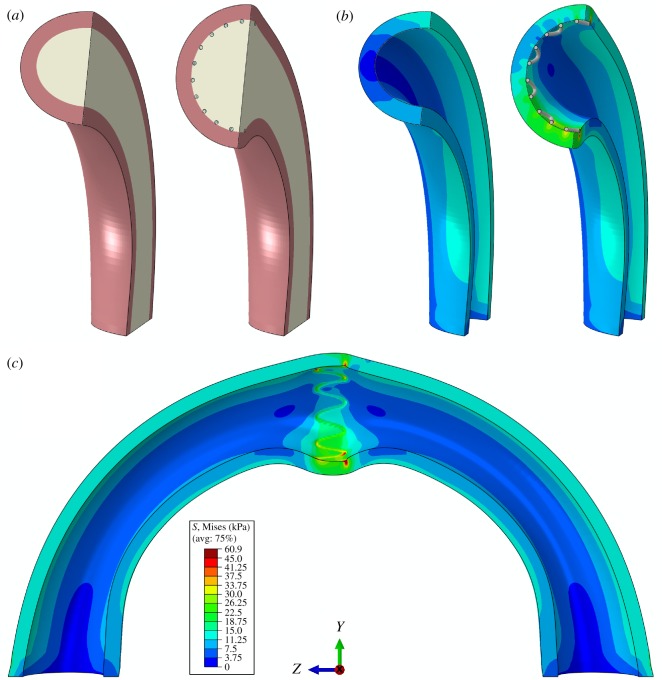 Figure 8.