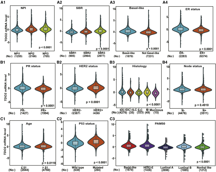 Figure 4