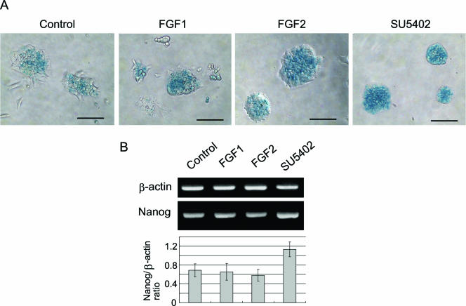 FIG. 6.