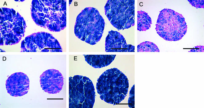 FIG. 5.