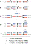 Figure 7: