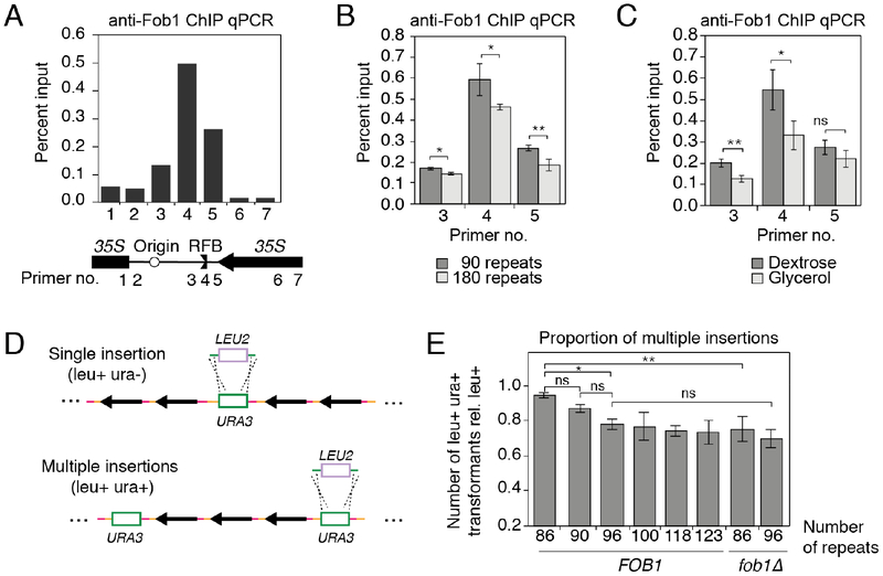 Figure 6: